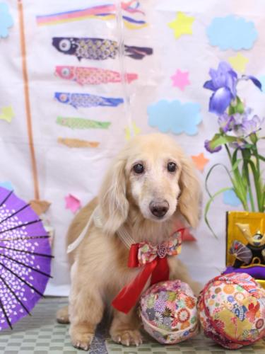 20240519ホクトくん